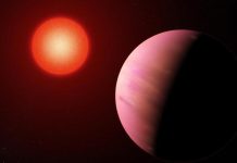 Michelle Kunimoto: Astronomy student discovers 17 new planets Michelle Kunimoto: Astronomy student discovers 17 new planets