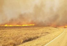 Oklahoma: At least 30 wildfires have burned more than 30000 acres Oklahoma: At least 30 wildfires have burned more than 30000 acres