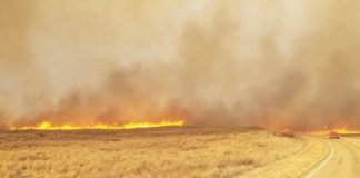 Oklahoma: At least 30 wildfires have burned more than 30000 acres Oklahoma: At least 30 wildfires have burned more than 30000 acres