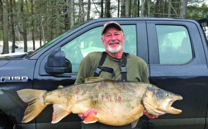 Thomas Knight, Ice fisherman catches record-shattering trout