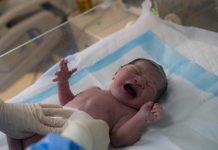 Coronavirus Australia live news updates: Premature baby may have contracted COVID-19 Coronavirus Australia live news updates: Premature baby may have contracted COVID-19
