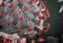 Coronavirus Global: 5-year-old, 13-year-old among latest UK victims Coronavirus Global: 5-year-old, 13-year-old among latest UK victims