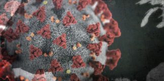 Coronavirus Global: 5-year-old, 13-year-old among latest UK victims Coronavirus Global: 5-year-old, 13-year-old among latest UK victims