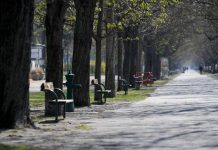 Coronavirus Global: France sets date for easing of lockdown Coronavirus Global: France sets date for easing of lockdown