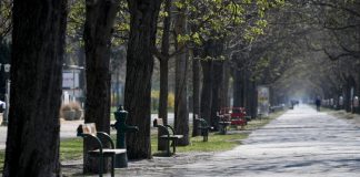 Coronavirus Global: France sets date for easing of lockdown Coronavirus Global: France sets date for easing of lockdown