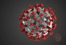 Coronavirus USA Update: 12,561 cases, 254 deaths in Texas Coronavirus USA Update: 12,561 cases, 254 deaths in Texas