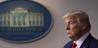 Coronavirus USA Update: Donald Trump hints at second stimulus check Coronavirus USA Update: Donald Trump hints at second stimulus check