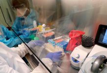 Coronavirus USA Update: Louisiana deaths increase by 38% Coronavirus USA Update: Louisiana deaths increase by 38%