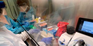 Coronavirus USA Update: Louisiana deaths increase by 38%