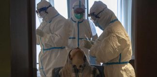 Coronavirus USA Update: Some COVID-19 patients testing positive again Coronavirus USA Update: Some COVID-19 patients testing positive again