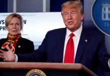 Coronavirus USA Update: White House projects between 100,000 American deaths Coronavirus USA Update: White House projects between 100,000 American deaths