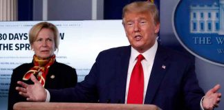 Coronavirus USA Update: White House projects between 100,000 American deaths Coronavirus USA Update: White House projects between 100,000 American deaths