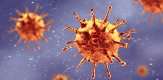 Coronavirus USA Updates: COVID-19 risk factors hint at how pandemic will play out Coronavirus USA Updates: COVID-19 risk factors hint at how pandemic will play out