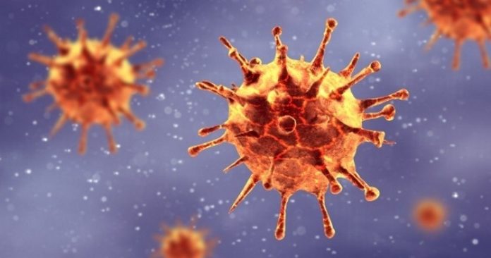 Coronavirus USA Updates: COVID-19 risk factors hint at how pandemic will play out