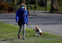 Coronavirus USA Updates: Family’s dog thought to be 1st in US to test positive for COVID-19 Coronavirus USA Updates: Family's dog thought to be 1st in US to test positive for COVID-19