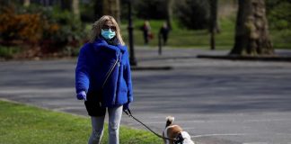 Coronavirus USA Updates: Family's dog thought to be 1st in US to test positive for COVID-19