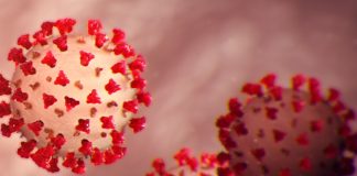 Coronavirus USA Updates: nears 1 million cases