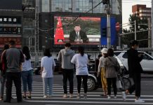 COVID-19: WHO kicks off 1st virtual assembly amid calls for coronavirus probe COVID-19: WHO kicks off 1st virtual assembly amid calls for coronavirus probe