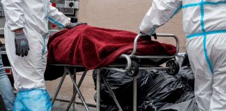 Coronavirus US Updates: COVID-19 death toll projected to almost double by August