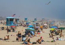 Coronavirus USA Updates: California governor sued by Newport Beach councilman Coronavirus USA Updates: California governor sued by Newport Beach councilman