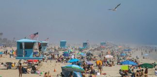 Coronavirus USA Updates: California governor sued by Newport Beach councilman