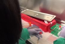 Coronavirus USA Updates: California’s COVID-19 cases continue to increase Coronavirus USA Updates: California's COVID-19 cases continue to increase