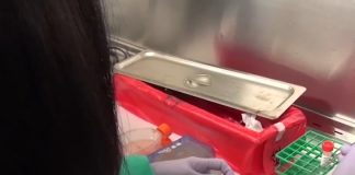 Coronavirus USA Updates: California’s COVID-19 cases continue to increase Coronavirus USA Updates: California's COVID-19 cases continue to increase