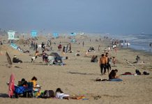 Coronavirus USA Updates: City votes to legally challenge Newsom beach closure order Coronavirus USA Updates: City votes to legally challenge Newsom beach closure order