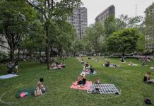 Coronavirus USA Updates: Daily deaths in NY fall below 100 Coronavirus USA Updates: Daily deaths in NY fall below 100