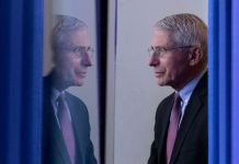 Coronavirus USA Updates: Fauci will testify before Senate Coronavirus USA Updates: Fauci will testify before Senate