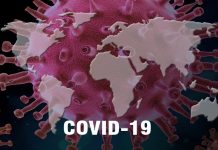 Coronavirus USA Updates: More than 30 gravely ill patients now recovered Coronavirus USA Updates: More than 30 gravely ill patients now recovered