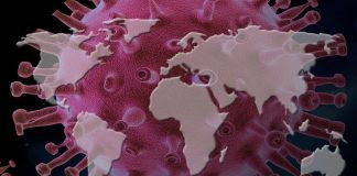 Coronavirus USA Updates: More than 30 gravely ill patients now recovered