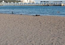 Coronavirus USA Updates: New York tourist arrested in Hawaii for violating mandatory quarantine Coronavirus USA Updates: New York tourist arrested in Hawaii for violating mandatory quarantine