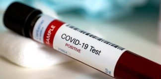 Coronavirus USA Updates: North Carolina sees highest 1-day increase in cases Coronavirus USA Updates: North Carolina sees highest 1-day increase in cases