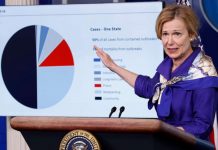 Coronavirus USA Updates: Success of reopening will depend on following guidance, Birx says Coronavirus USA Updates: Success of reopening will depend on following guidance, Birx says