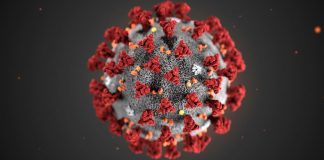 Coronavirus USA Updates: Virginia reports 1st case of multisystem inflammatory syndrome in children