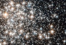 Scientists find regular rhythms among pulsating stars Scientists find regular rhythms among pulsating stars