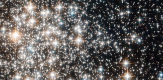 Scientists find regular rhythms among pulsating stars