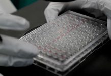 Coronavirus Australia Updates: Four new COVID-19 cases in NSW as ‘removal of border’ talks continue Coronavirus Australia Updates: Four new COVID-19 cases in NSW as 'removal of border' talks continue