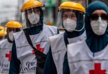 Australia Coronavirus: Border businesses decry closure as new COVID-19 cases Australia Coronavirus: Border businesses decry closure as new COVID-19 cases