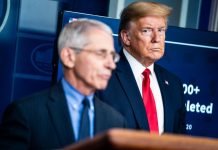 Dr. Anthony Fauci says he hasn’t briefed Trump in at least two months Dr. Anthony Fauci says he hasn't briefed Trump in at least two months