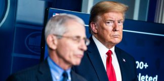 Dr. Anthony Fauci says he hasn’t briefed Trump in at least two months Dr. Anthony Fauci says he hasn't briefed Trump in at least two months