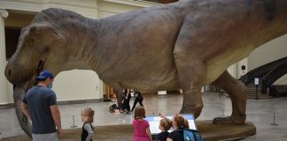 Sue the dinosaur gets life-like model to match skeleton Sue the dinosaur gets life-like model to match skeleton