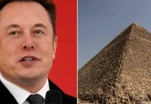 Egypt invites Elon Musk to visit Giza Pyramids following controversial tweet (Report)