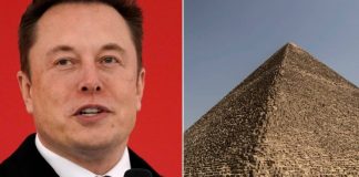 Egypt invites Elon Musk to visit Giza Pyramids following controversial tweet (Report)