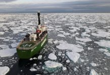 Arctic sea ice hits second-lowest level on record, Researchers Say