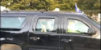 Coronavirus USA Updates: Walter Reed physician raises concerns about dangers of Trump’s drive-by outside hospital Coronavirus USA Updates: Walter Reed physician raises concerns about dangers of Trump's drive-by outside hospital