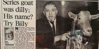 The story behind the Cubs’ Curse of the Billy Goat The story behind the Cubs' Curse of the Billy Goat