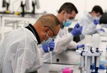 Coronavirus Australia live update: Police report quarantine breaches in Western Australia Coronavirus Australia live update: Police report quarantine breaches in Western Australia