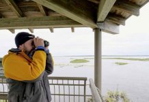 Orphaned polar bear cubs given little hope, Reports Orphaned polar bear cubs given little hope, Reports